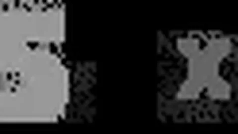 2025年保羅湖人交易受阻：籃球因素成阻礙歷史進程